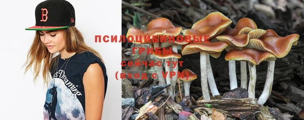 прущий лед Балабаново