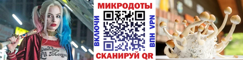 Псилоцибиновые грибы Cubensis Лобня